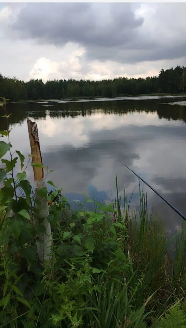 Карась — Дегтярка, 25 июл. 2026 г.