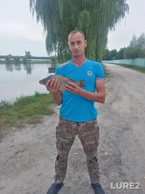 Карп
