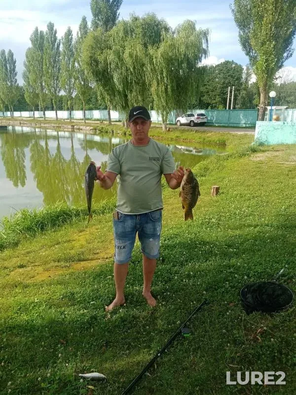 Карп