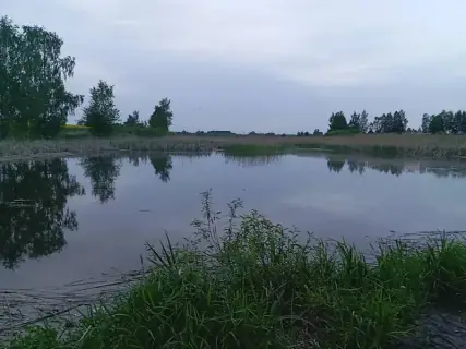 Карась — Проня, 14 окт. 2026 г.