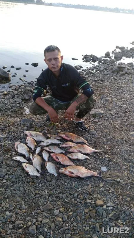 Лещ