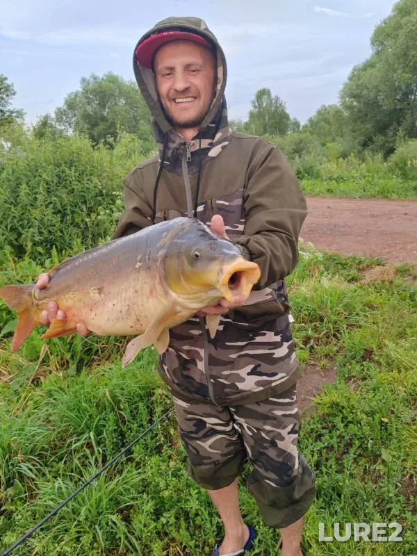 Карп
