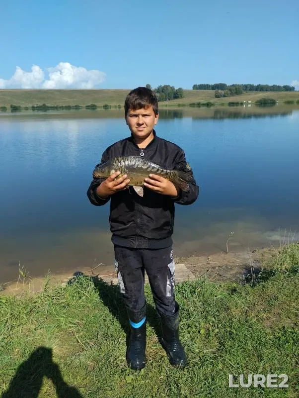 Карп