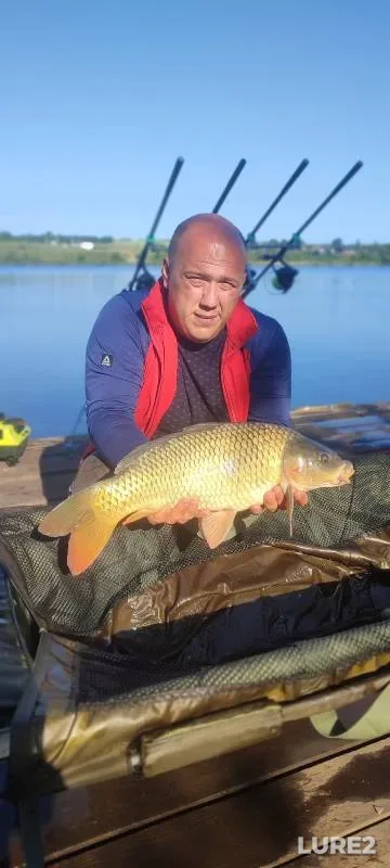 Карп