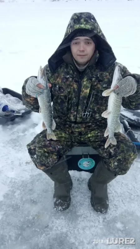 Щука