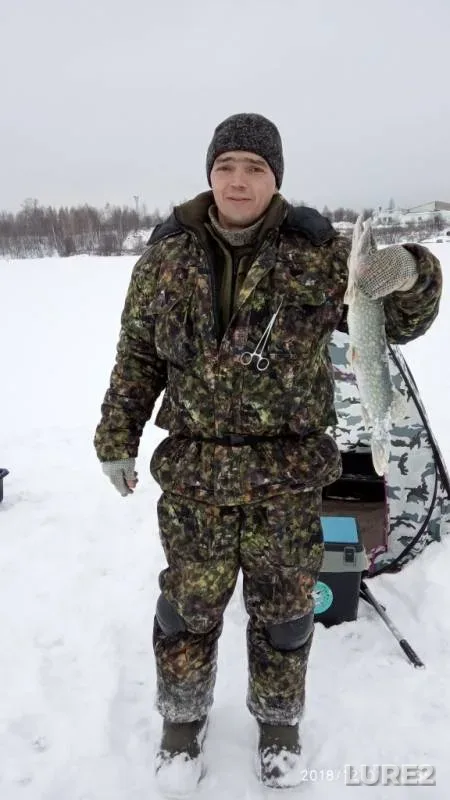 Щука