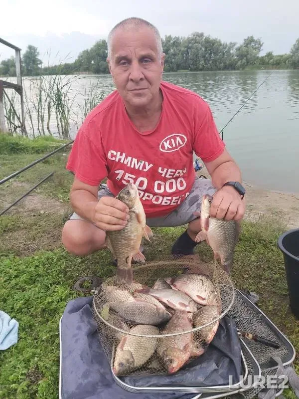Карась