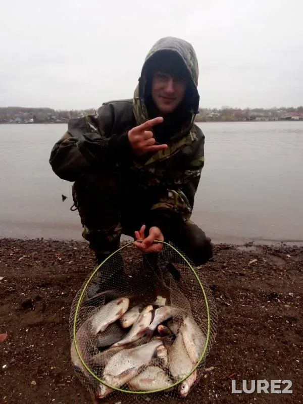 Карась