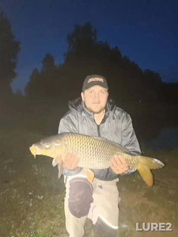 Карп