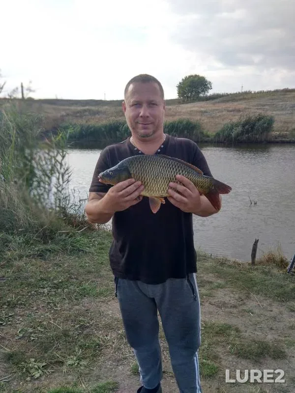 Карп