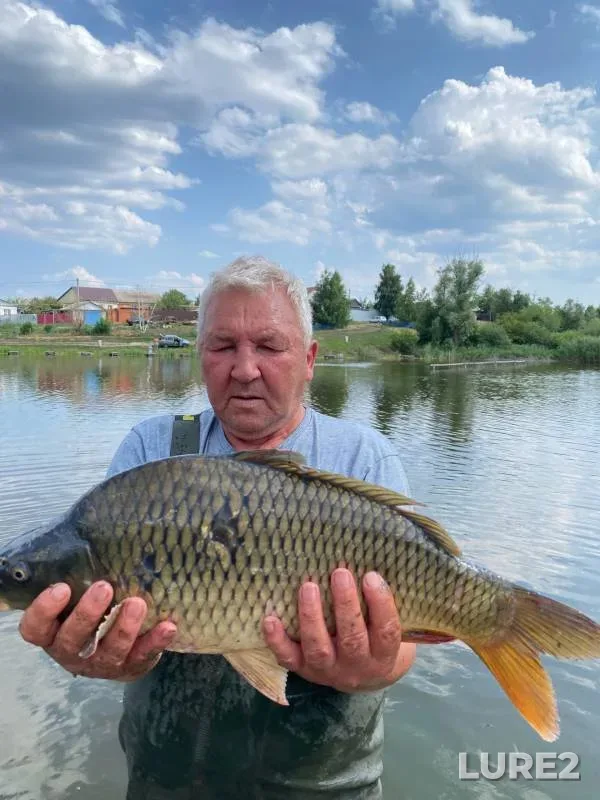 Карп