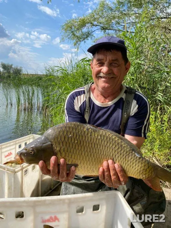 Карп