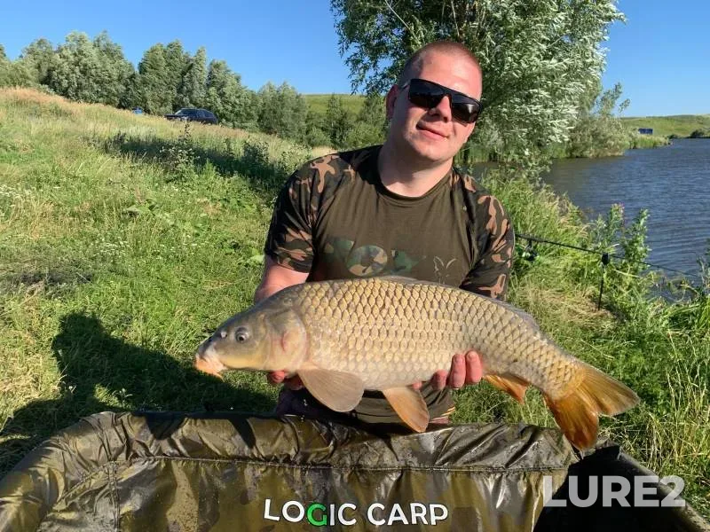 Карп