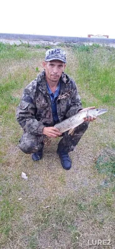 Щука