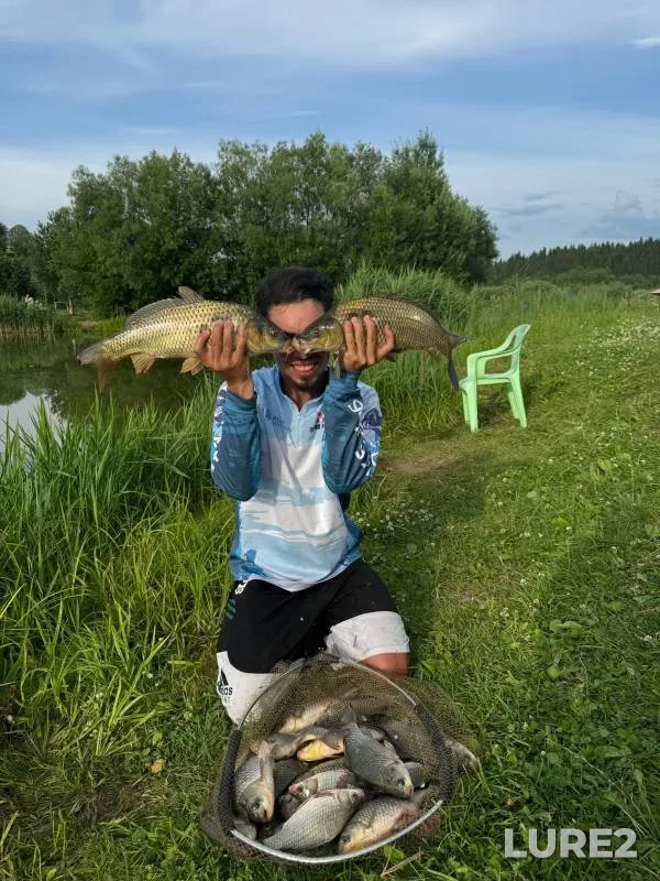 Лещ, Карп