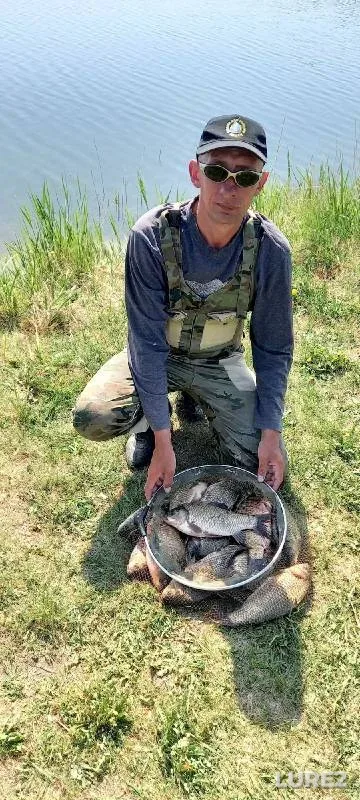 Карась
