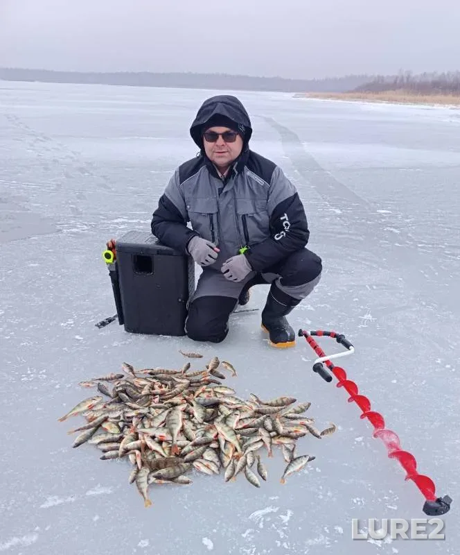 Окунь