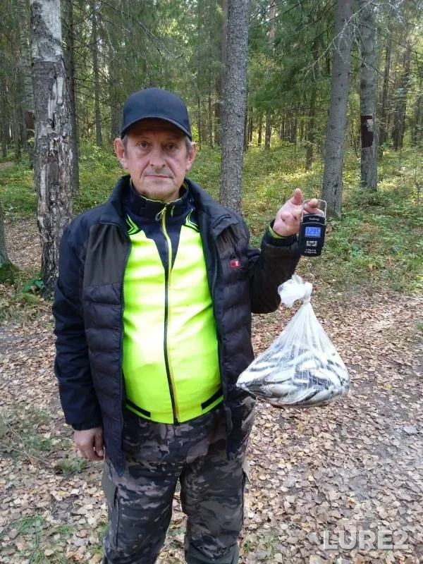 Уклейка