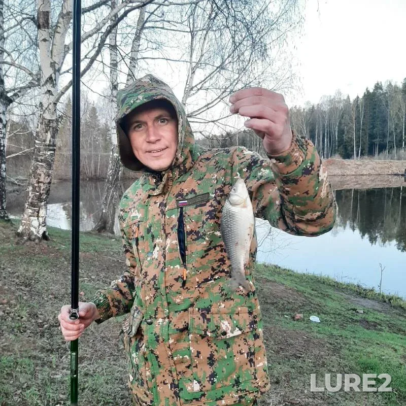 Карась