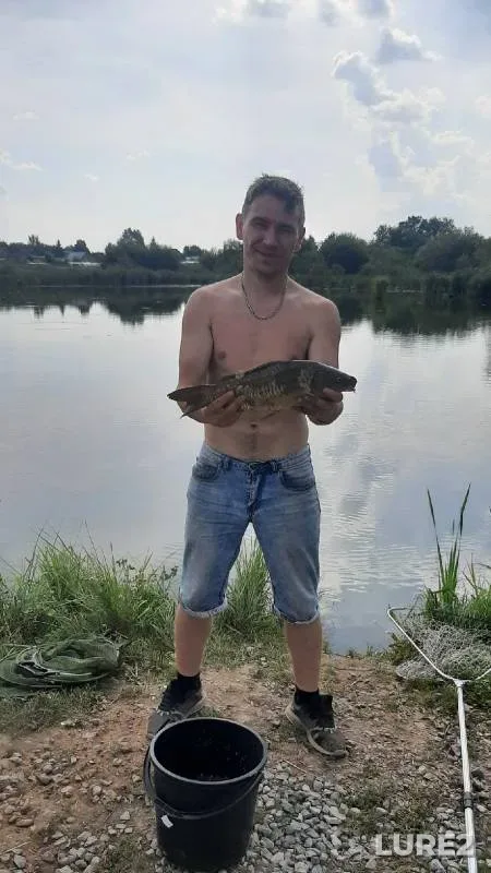 Карп