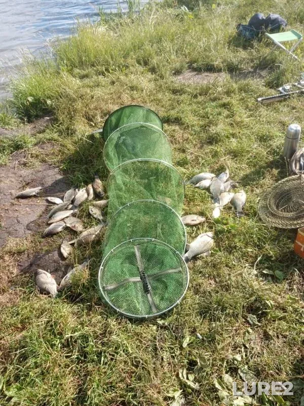 Карась