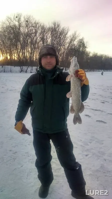 Щука — Псёл, 31 янв. 2018 г.