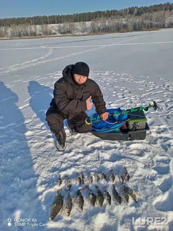 Окунь