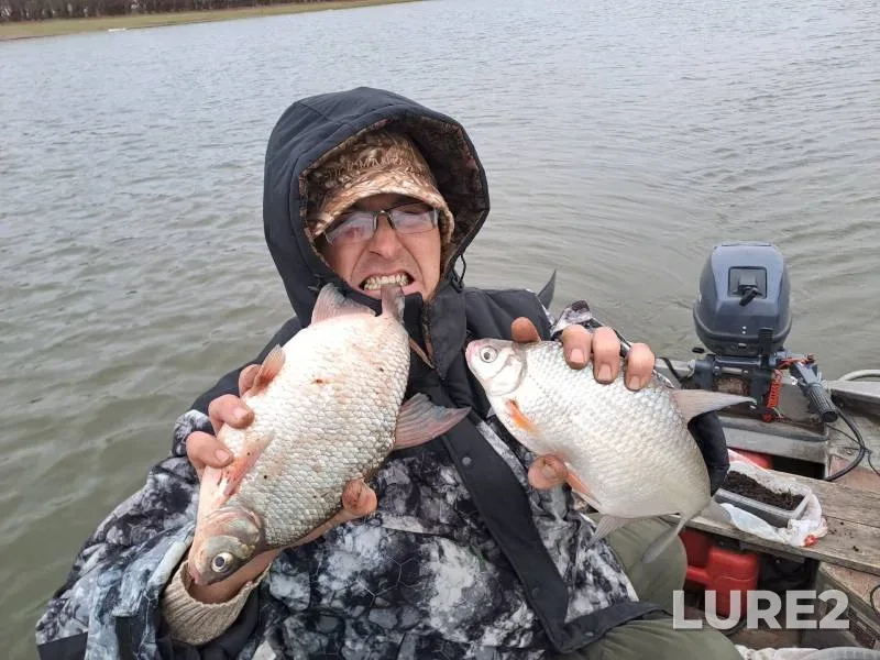 Лещ