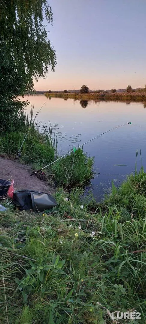 Лещ, Карась