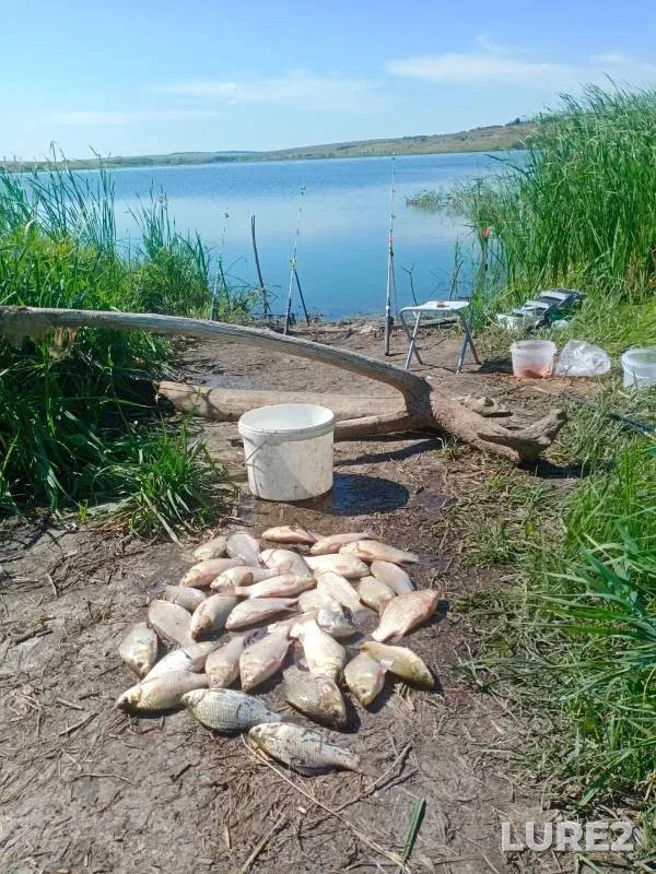 Карась