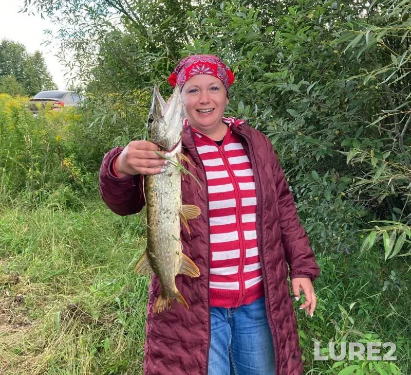 Щука