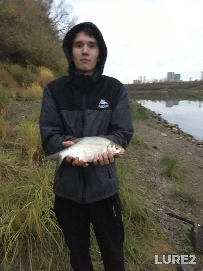 Лещ
