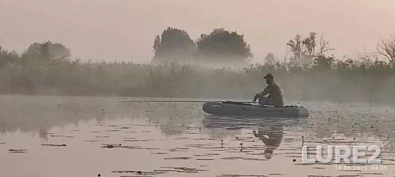 Карась, Окунь