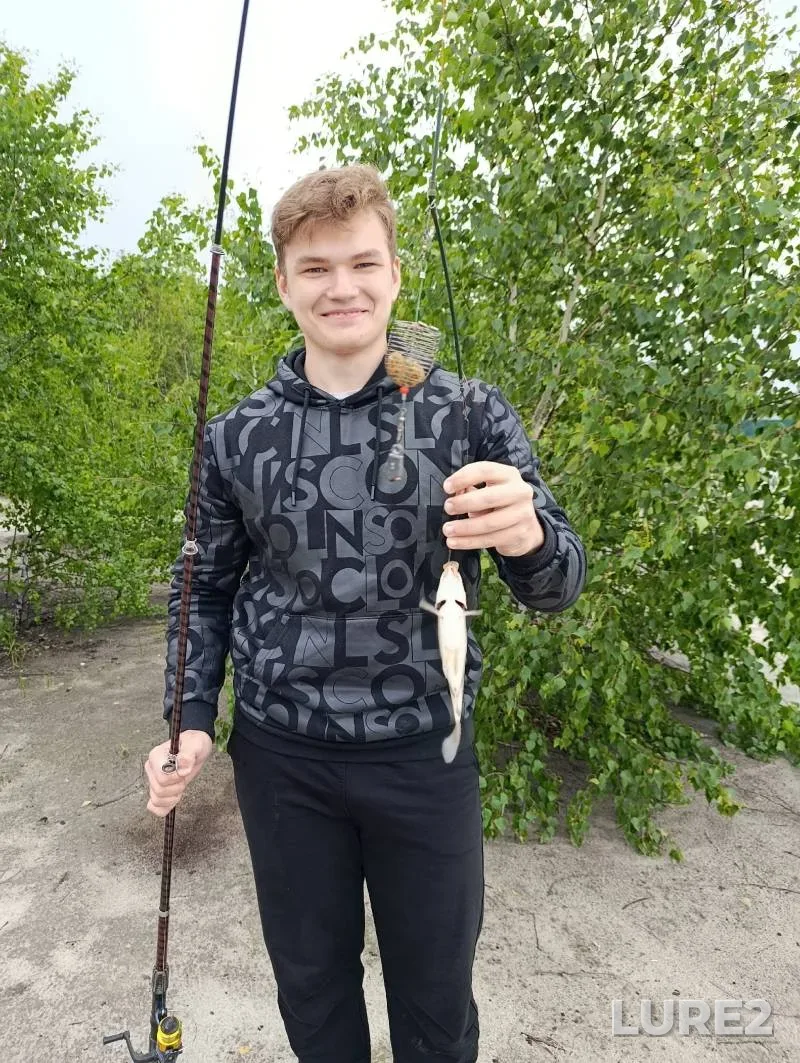 Карась