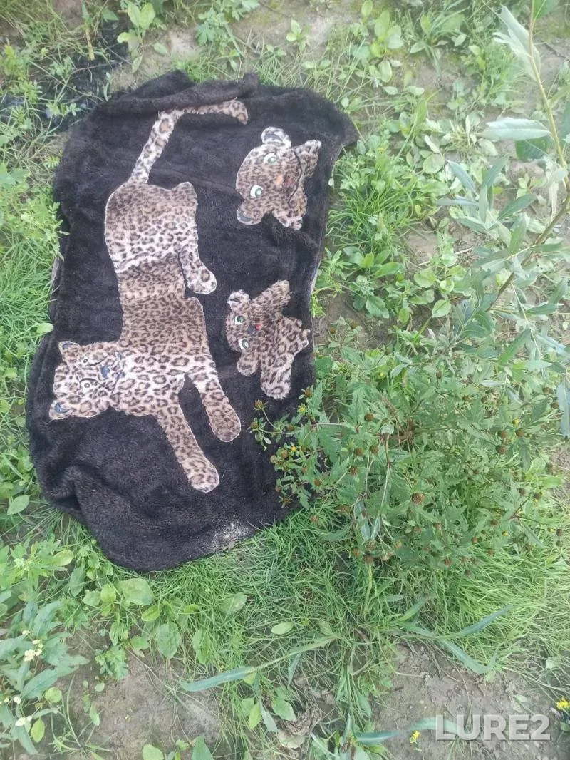 Уклейка