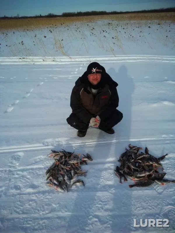 Окунь