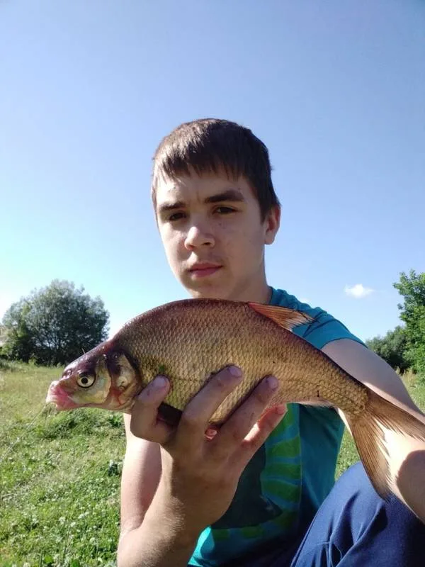 Уклейка, Лещ