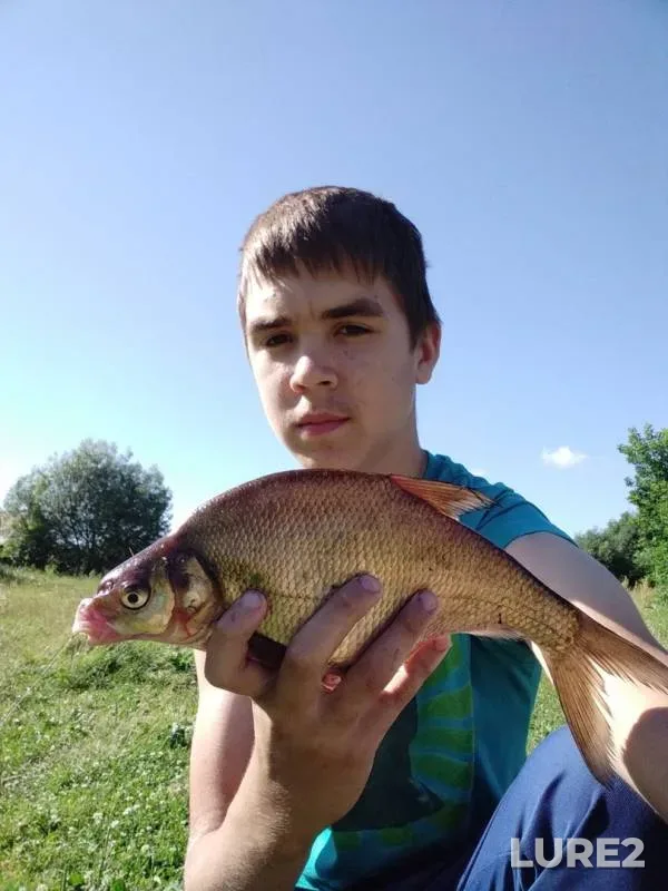 Уклейка, Лещ — Днепр, 24 июн. 2019 г.