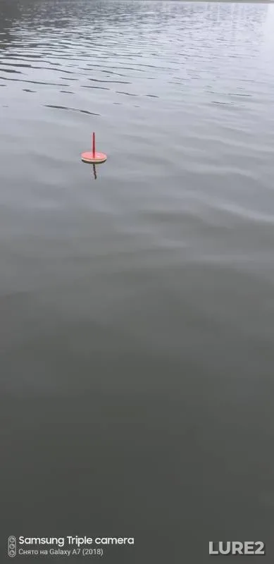 Щука