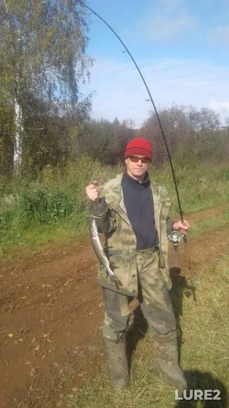 Щука