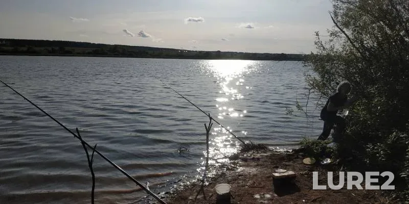 Карась, Окунь