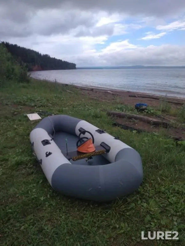 Окунь, Щука