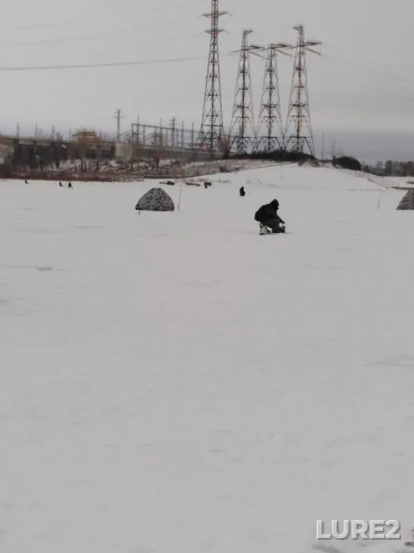 Лещ