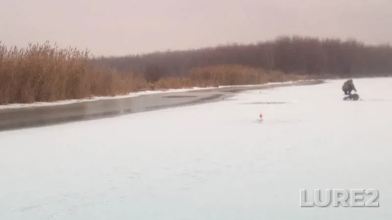 Окунь
