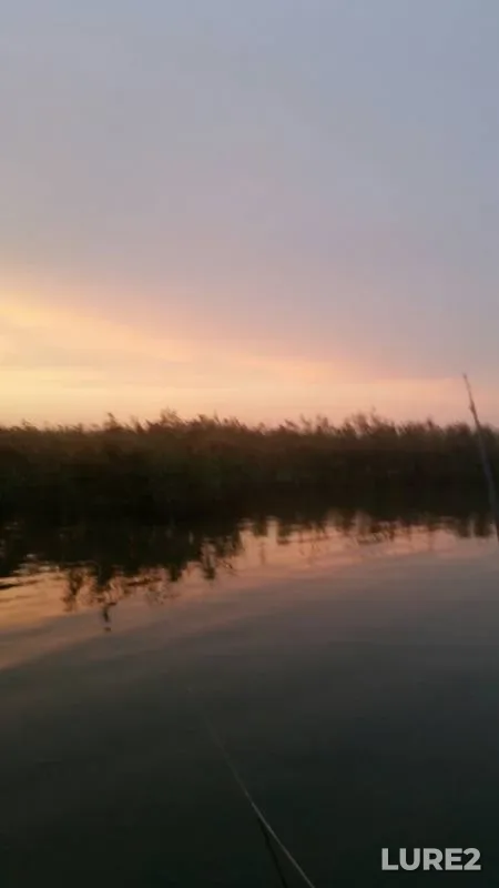 Карась
