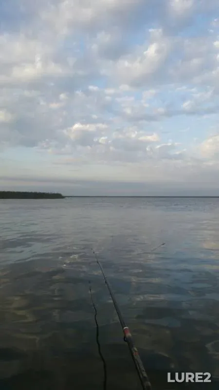 Карась