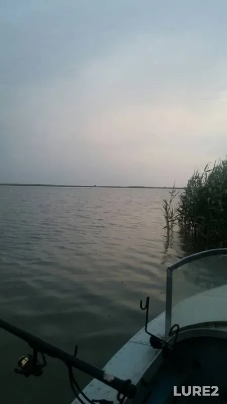 Карась