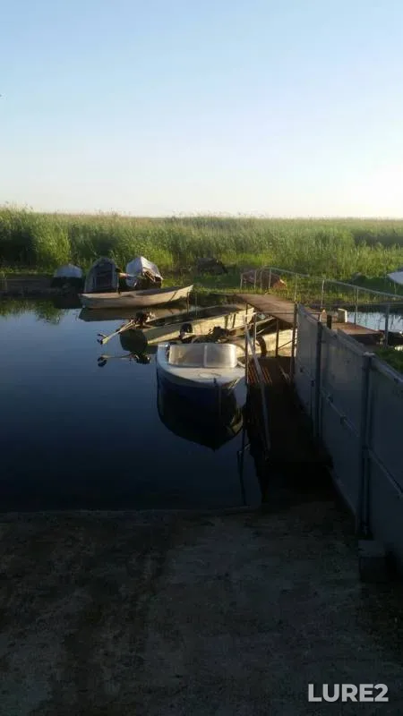 Окунь