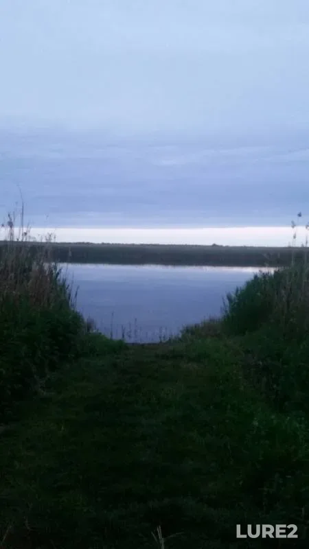 Карась