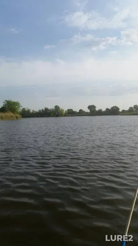 Карась
